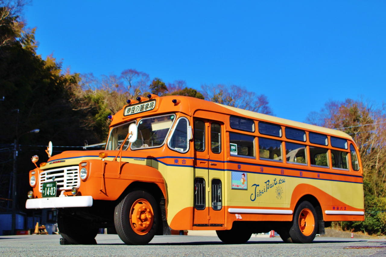 ボンネットバスで土肥桜の名所を巡る周遊ツアー